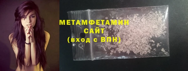 прущие грибы Абинск
