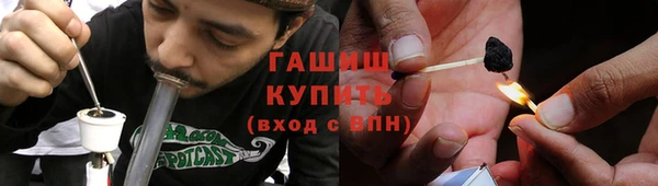 прущие грибы Абинск
