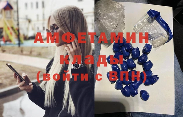 прущие грибы Абинск