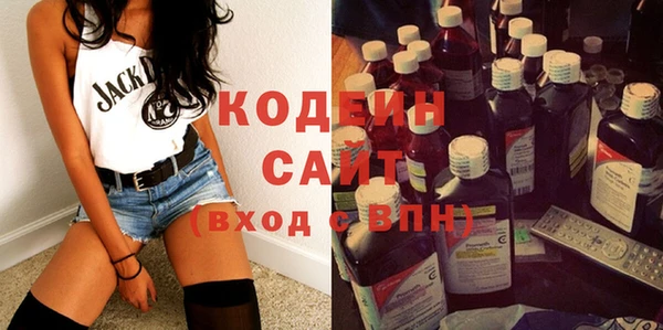 дурь Осташков